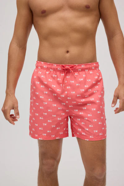 Bañador hombre secado rápido estampado vespas YSABEL MORA