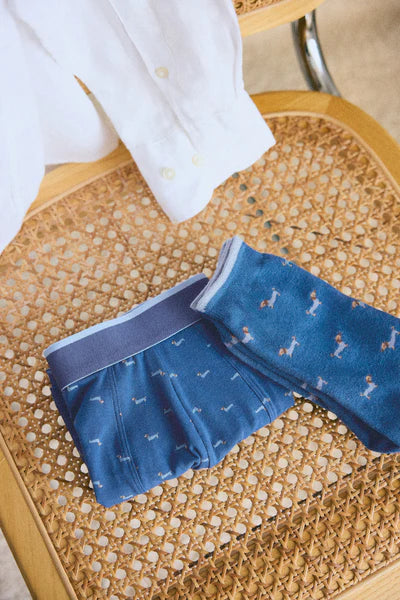 Pack BÓXER y CALCETÍN a juego algodón estampado perro salchicha YSABEL MORA