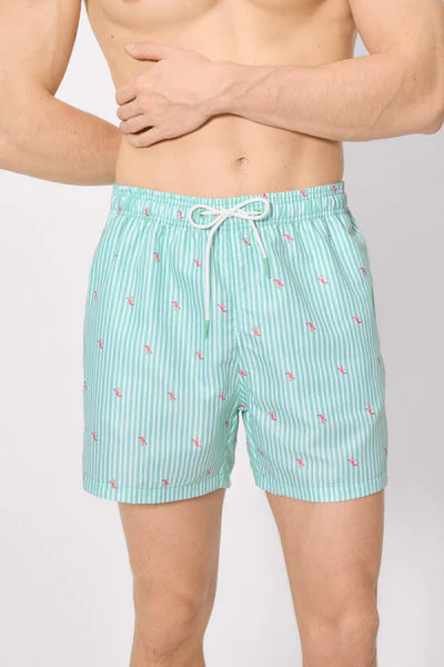 Bañador medio estampado rayas y mini langostas verde YSABEL MORA