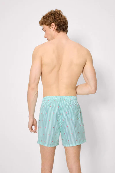 Bañador medio estampado rayas y mini langostas verde YSABEL MORA