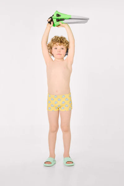 Bañador bóxer niño estampado tortugas Ysabel Mora