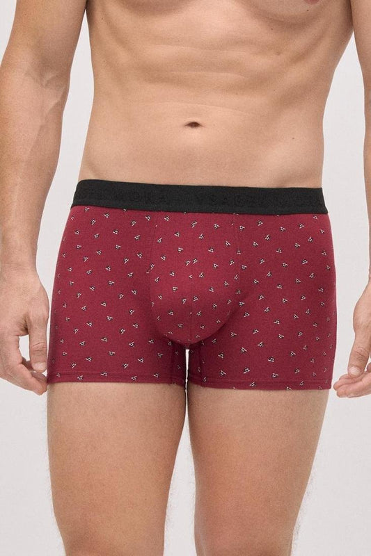 Pack 2 boxer hombre algodón estampado YSABEL MORA