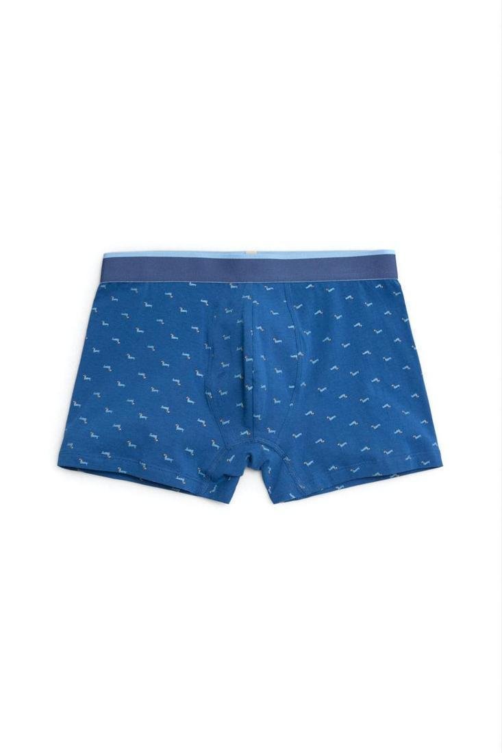 Pack BÓXER y CALCETÍN a juego algodón estampado perro salchicha YSABEL MORA