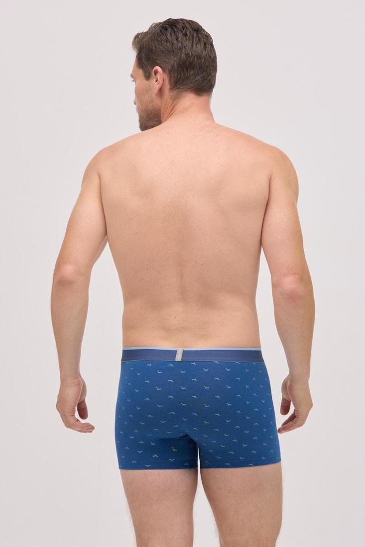 Pack BÓXER y CALCETÍN a juego algodón estampado perro salchicha YSABEL MORA