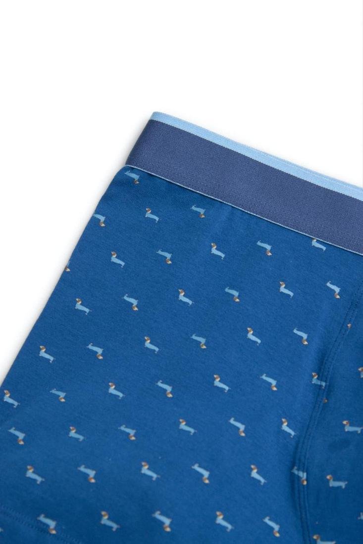 Pack BÓXER y CALCETÍN a juego algodón estampado perro salchicha YSABEL MORA