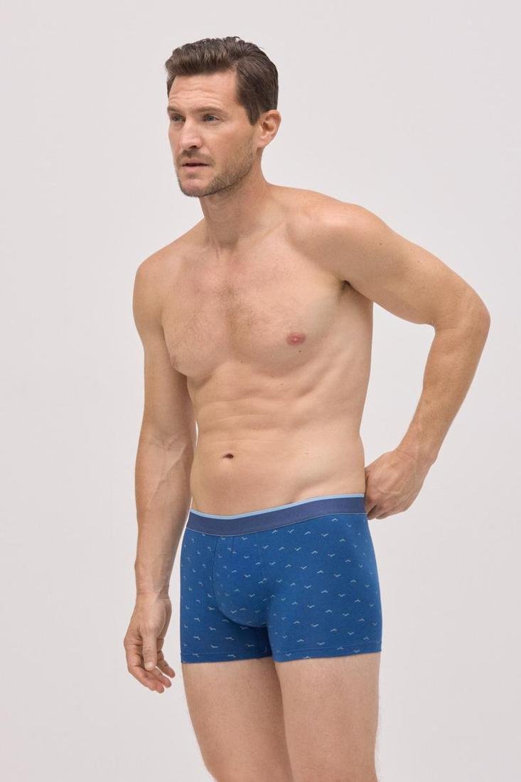 Pack BÓXER y CALCETÍN a juego algodón estampado perro salchicha YSABEL MORA